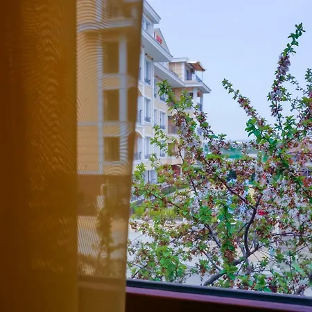 Apartment Comfortable 2bedroom With Kitchen In Dafinka Eu Burgas